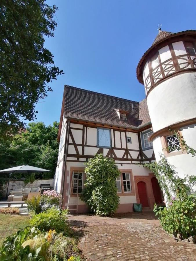Maison Kobold Xvie Siecle Wissembourg Exteriér fotografie