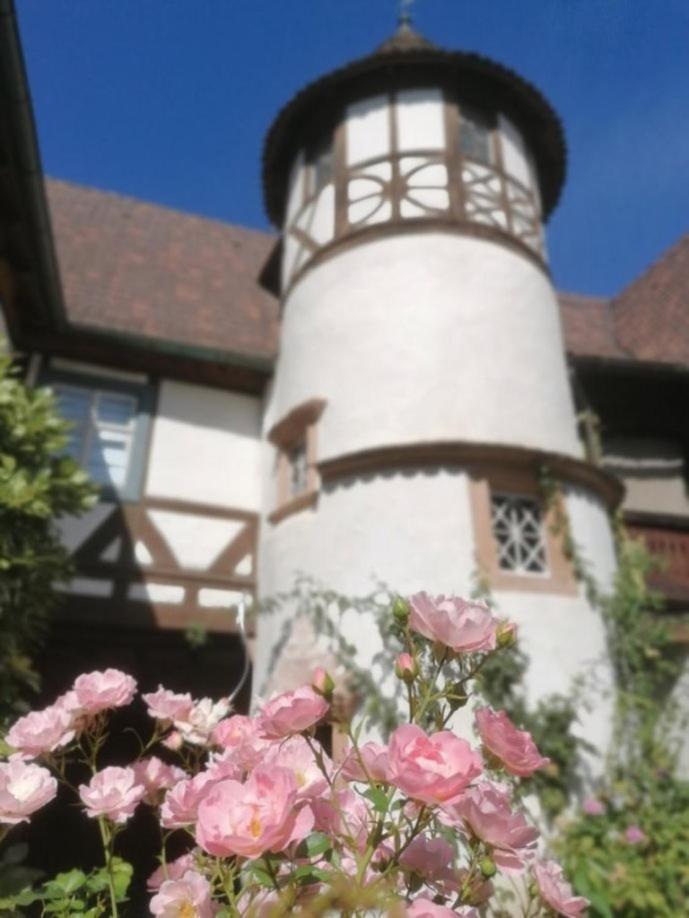 Maison Kobold Xvie Siecle Wissembourg Exteriér fotografie