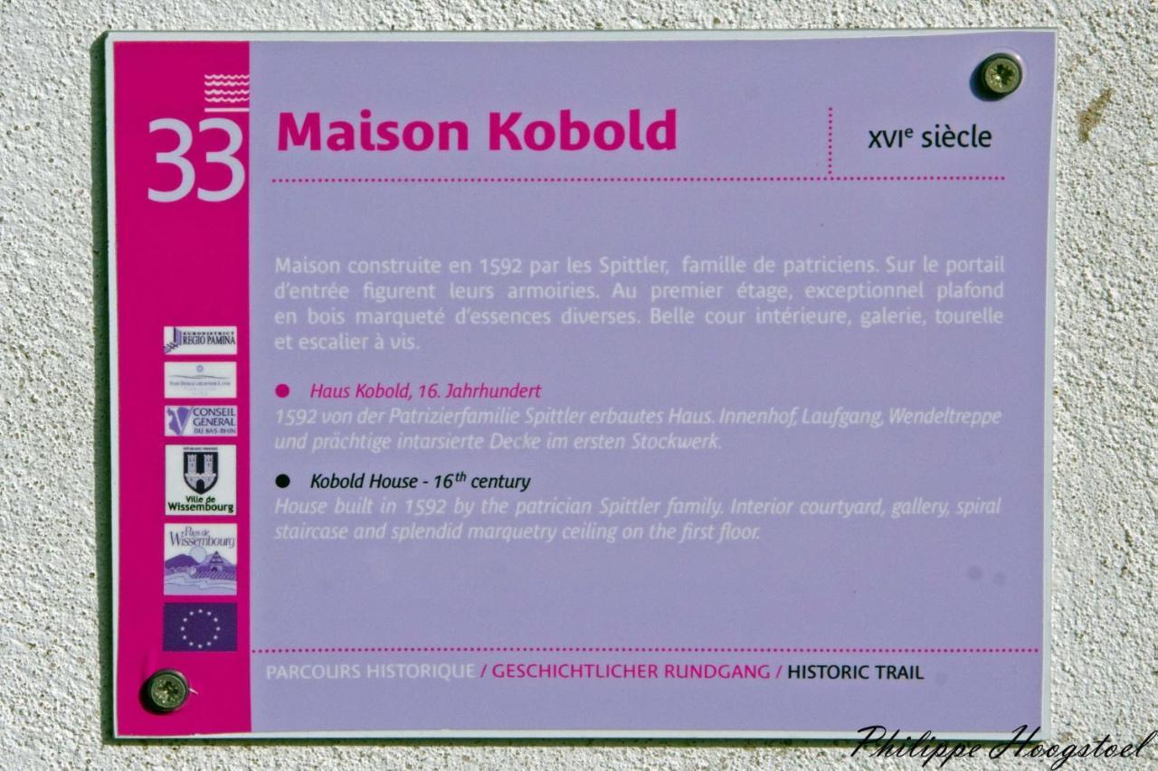 Maison Kobold Xvie Siecle Wissembourg Exteriér fotografie