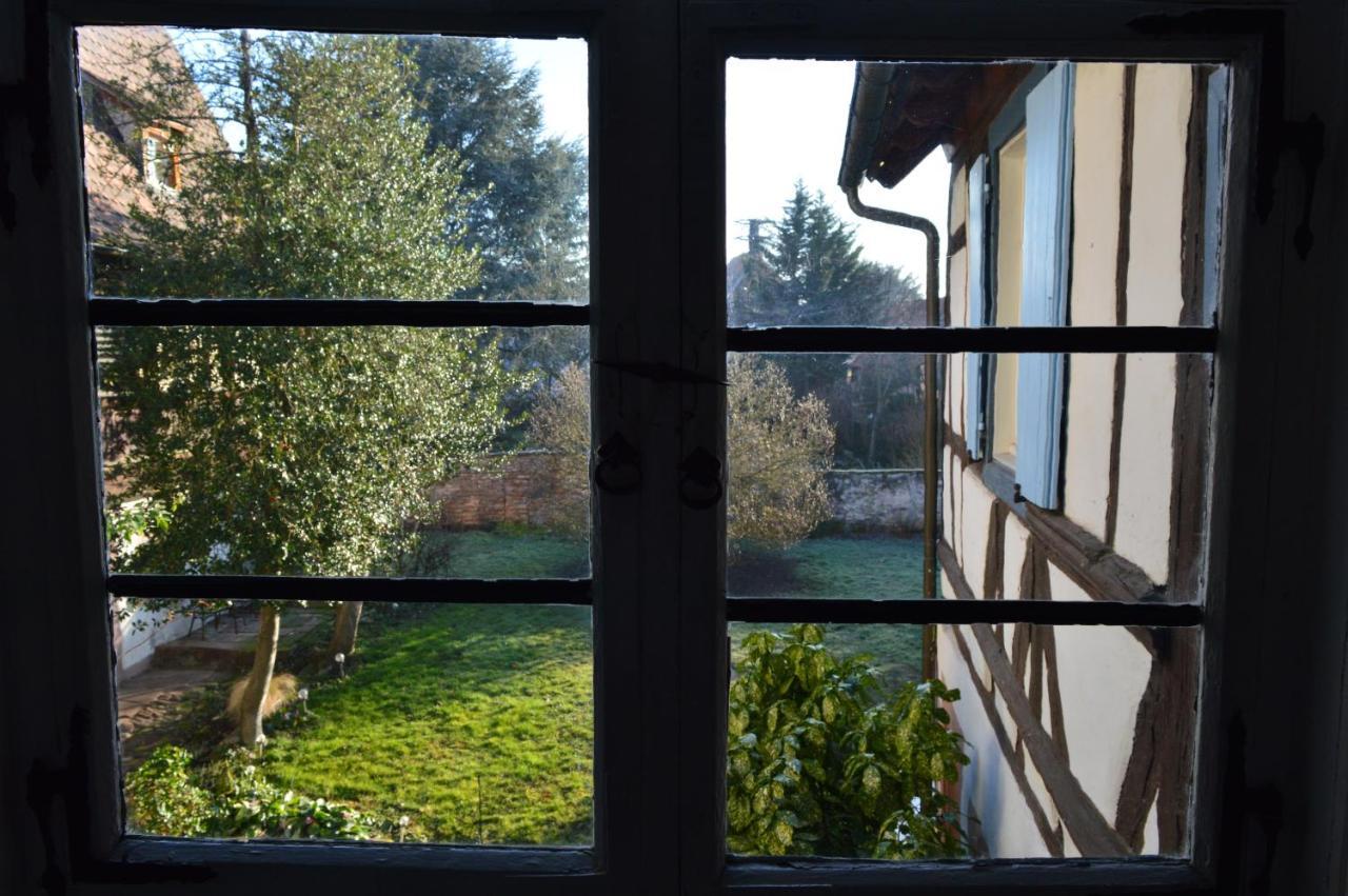 Maison Kobold Xvie Siecle Wissembourg Exteriér fotografie