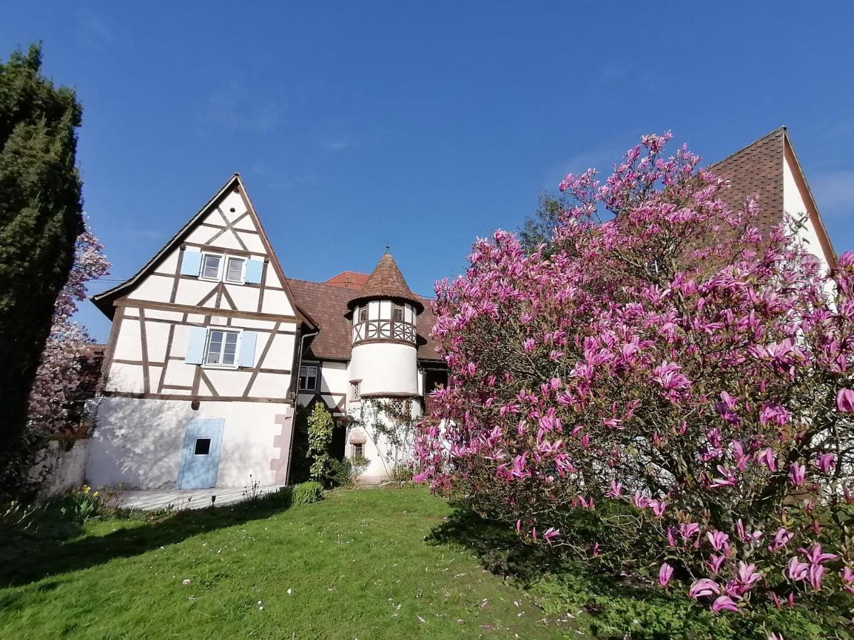 Maison Kobold Xvie Siecle Wissembourg Exteriér fotografie